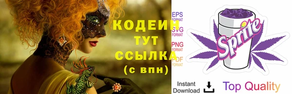 прущие грибы Осташков