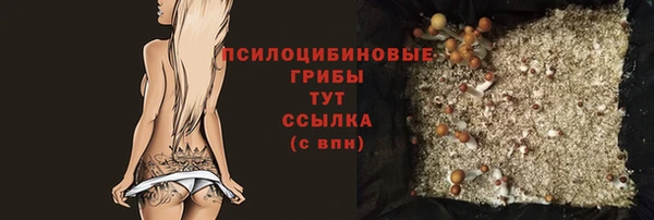 mdpv Осинники