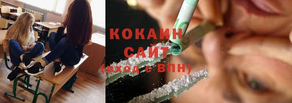 прущие грибы Осташков