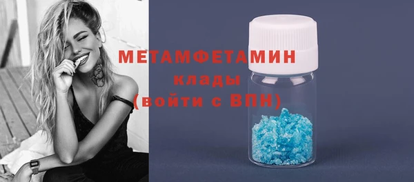 прущие грибы Осташков