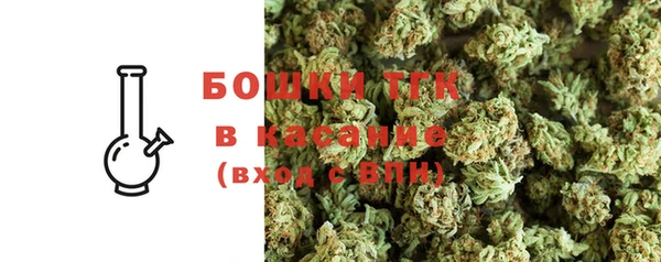 прущие грибы Осташков