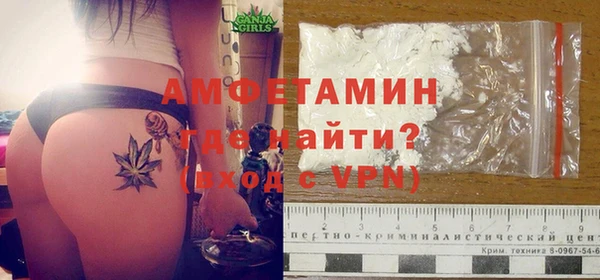 прущие грибы Осташков