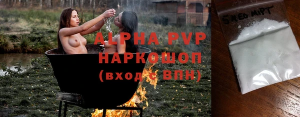 прущие грибы Осташков