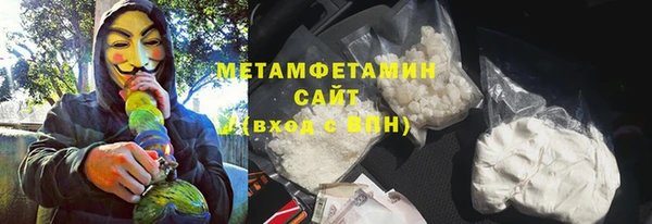 прущие грибы Осташков