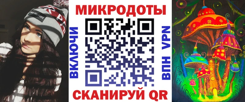 Псилоцибиновые грибы Psilocybe Руза